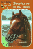 Racehorse in the Rain (Animal Ark Holiday Treasury #2) (Animal Ark Series #39)