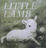 Little Lamb (Soft-to-Touch Books (Scholastic))