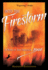 Into the Firestorm: a Novel of San Francisco, 1906