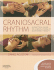 Craniosacral-Rhythm: a Practical Guide to a Gentle Form of Bodywork Therapy