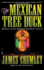 The Mexican Tree Duck