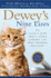 Deweys Nine Lives: the Legacy of the Small-Town Library Cat Who Inspired Millions