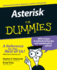 Asterisk for Dummies