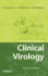 A Practical Guide to Clinical Virology