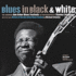 Blues in Black and White: the Landmark Ann Arbor Blues Festivals