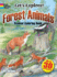 Forest Animals Sticker Coloring Book (Dover Nature Coloring Book)