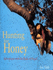 Hunting for Honey