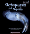 Octopus and Squid (Undersea Encounters)
