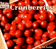 Cranberries (Welcome Book)