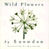 Wild Flowers