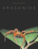 Arachnids [Hardcover] Beccaloni, Janet and Brannan, Trudy
