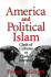 America and Political Islam: Clash of Cultures Or Clash of Interests?