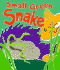 Small Green Snake
