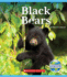 Black Bears (Nature's Children) (Nature's Children, Fourth Series)