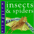 Insects and Spiders (Worldwise)