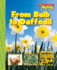 From Bulb to Daffodil (Scholastic News Nonfiction Readers)