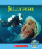 Jellyfish (Natures Children)