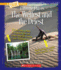 The Wettest and the Driest (a True Book: Extreme Places)