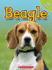 Beagle (Top Dogs (Children's Press) (Library))