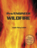 Pro/Engineer Wildfire (With Cd-Rom Containing Pro/E Wildfire Software)