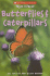 Butterflies & Caterpillars (Scholastic True Or False)