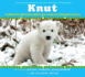 Knut: La Historia Del Osito Polar Que Cautiv Al Mundo Entero: (Spanish Language Edition of Knut: the Story of a Little Polar Bear That Captivated the World) (Spanish Edition)