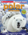 Scholastic Discover More: Polar Animals