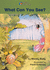 What Can You See? Key Stage 1: Small Book (Pelican Big Books)