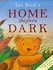 Home Before Dark (Hippo Puzzles)