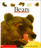 Bears (First Discovery Book)