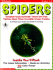 Spiders (Grades 1-3)