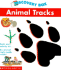 Animal Tracks (Discovery Box)