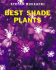 Best Shade Plants ("Amateur Gardening" Guide)