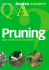 Pruning: Expert Answers to All Your Questions