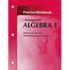 Holt McDougal Larson Algebra 1: Practice Workbook; 9780618736942; 0618736948