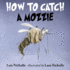 How to Catch a Mozzie