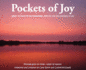 Pockets of Joy: When It's Hard to Find Happiness, Look for the Tiny Pockets of Joy