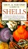 Simon & Schuster's Guide to Shells (Nature Guide Series)