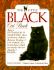 The Little Black Cat Book (the Little Cat Library)