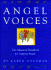 Angel Voices: the Advanced Handbook for Aspiring Angels