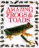 Amazing Frogs and Toads (Eyewitness Junior)