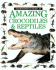 Amazing Crocodiles and Reptiles (Eyewitness Junior)