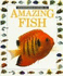 Amazing Fish