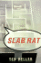 Slab Rat: a Novel