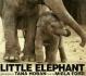 Little Elephant