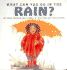 What Can You Do in the Rain?