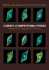A Survey of Computational Physics: Introductory Computational Science [With Cdrom]