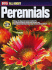 All About Perennials