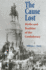 The Cause Lost: Myths and Realities of the Confederacy (Modern War Studies)