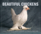 Beautiful Chickens: Portraits of Champion Breeds